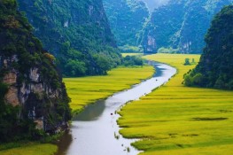 Vietnam